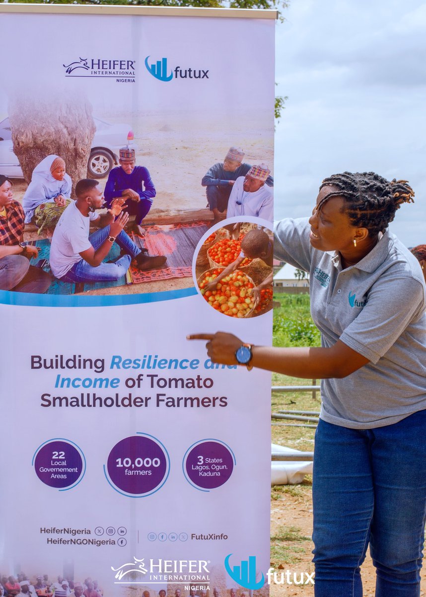 FutuXinfo's tweet photo. 🍅🍅🍅🍅

The "Building Resilience and Income of Tomato Smallholder Farmers" initiative implemented by @HeiferNigeria and FutuX Agri-consult Limited isn't just changing the way tomatoes are produced but strengthening the livelihoods of many farmers!

Through this initiative, each farmer has embarked on a transformative journey, and we are thrilled to have provided the necessary support every step of the way.

📣 This weekend, we showcase the bountiful result of the meticulous implementation of good Agricultural Practices by each Farmer. Stay tuned as we share details from the Mega Field Day. Don’t miss out!💫

#TomatoFarmers #AgriculturalTraining #SmallholderFarmers
#HeiferNigeria #FutuX