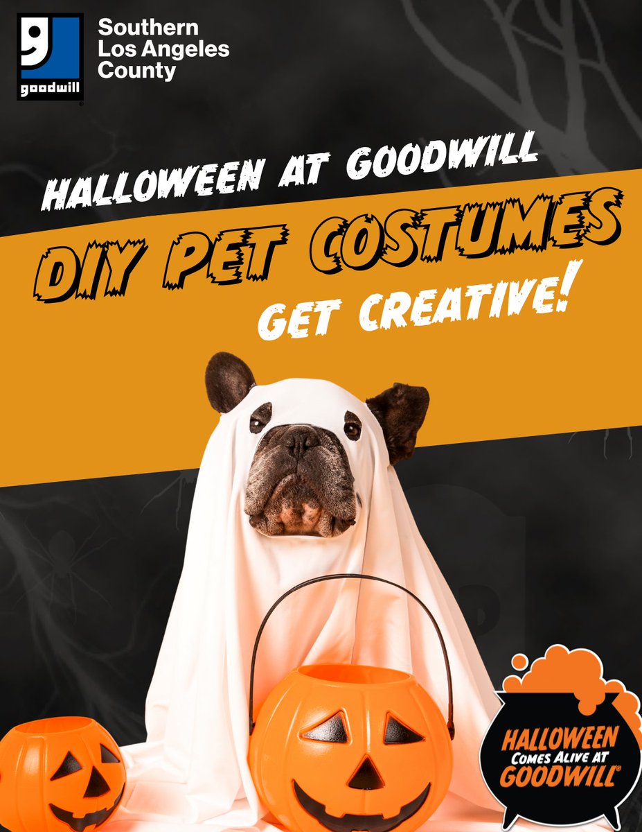 ThinkGoodwill's tweet image. 👻🎃 Halloween isn’t just for humans—it’s for pets too! 🐾 Get creative and design a one-of-a-kind costume for your furry friends. Whether it’s ghost sheets or kids' clothing for smaller pets, we’ve got everything you need to craft something unique and special. 🐶