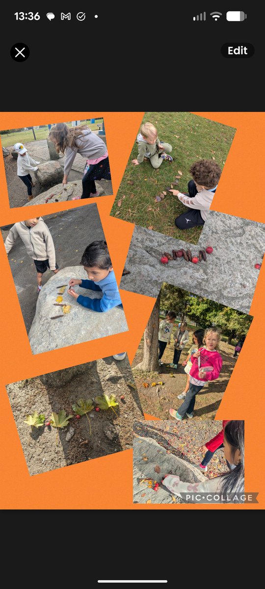 Making patterns demonstrating changing attributes from natural found objects. <a href="/EASetonOCSB/">St. Elizabeth Ann Seton School</a>