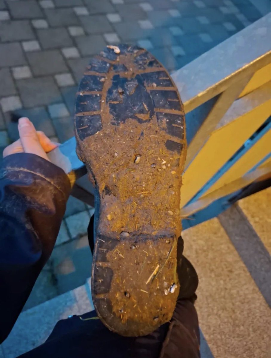 »Strafe muss sein« - mit diesen Worten habe ich von Princess Tina heute ein Foto-Update mit den Stiefeln bekommen, die ich sauber lecken muss (inkl. Videobeweis). Die dicke Schicht Pferdemist macht mir Angst 😱 

Glaubt ihr, ich schaffe das?
Wollt ihr dann das Video dazu sehen?