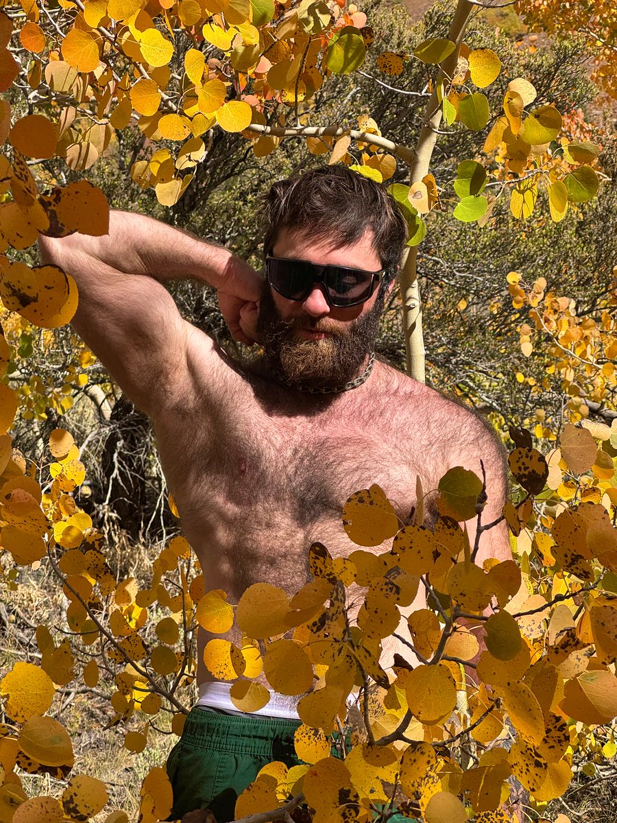 Autumn has arrived 🍂