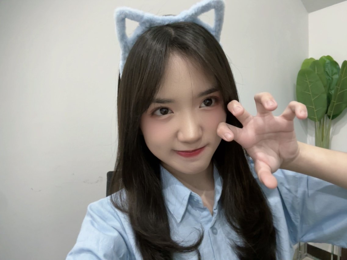 agansam's tweet photo. Gracie https://t.co/zRbltzFmTS