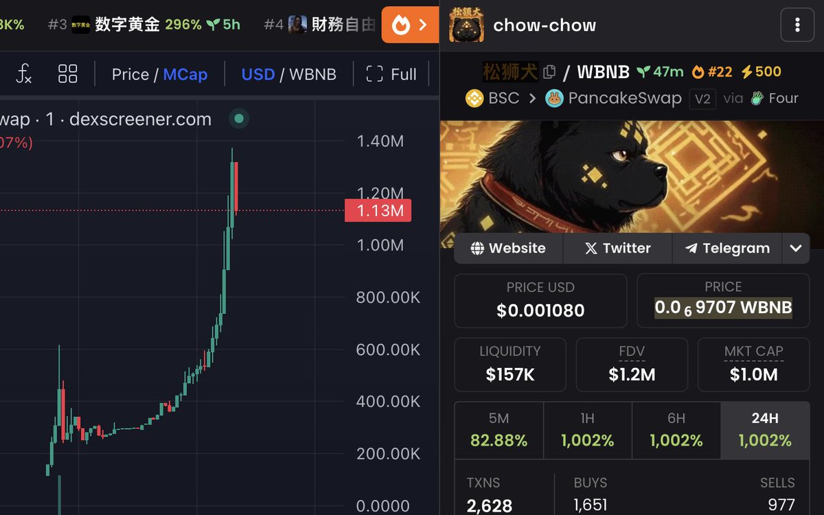 BinsaeedRashid's tweet image. WILL THIS BECOME THE $1 Billion dog meme on BNB @cz_binance ?

I am betting on #chowchow!

Chad dev @antmillionsbot
