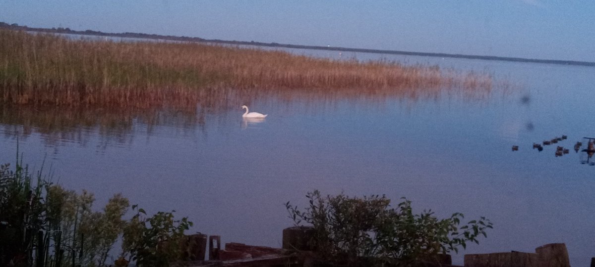 Une nuit à la tonne
Le top detente