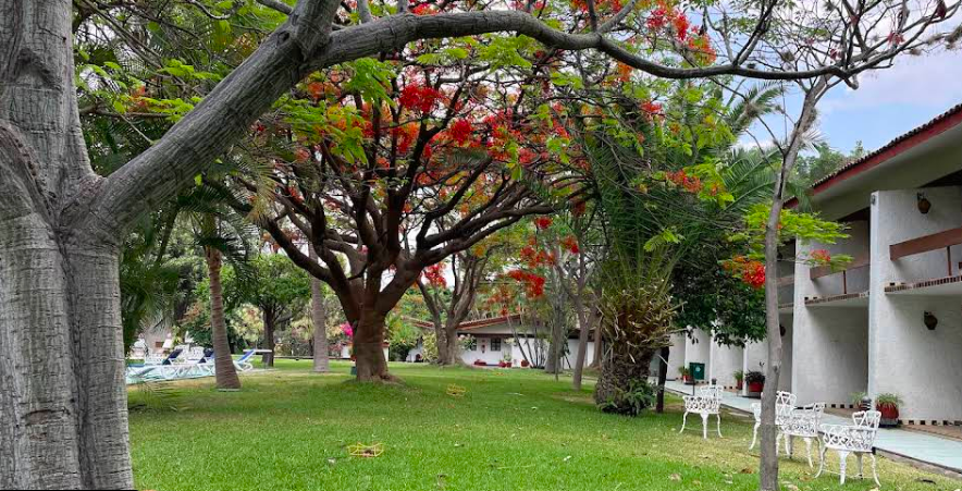 sofyvaldivia's tweet photo. #Oaxaca | Cierra sus puertas el emblemático Hotel Misión de los Ángeles

La ciudad de Oaxaca despide a uno de sus lugares más entrañables y simbólicos: el Hotel Misión de los Ángeles, que tras más de cuatro décadas de historia, ha anunciado el cierre definitivo de sus puertas. Fundado el 1° de septiembre de 1979 por el visionario empresario Don Florentino Audelo Galguera, este icónico recinto se convirtió en un refugio de paz, tradición y hospitalidad, marcando la memoria de generaciones enteras.

A lo largo de los años, sus jardines, salones y habitaciones fueron testigos de romances, celebraciones familiares y grandes encuentros. En su historia quedaron grabadas las noches de arte y bohemia que resonaron con la voz de Juan Gabriel y otros artistas que iluminaron su discoteca y sus bares. Su restaurante fue, además, embajador de la gastronomía oaxaqueña, conquistando paladares con el sabor auténtico de la región.

“La Misión de nuestros Ángeles concluye su recorrido, cerrando las puertas de su corazón”, señala el comunicado emitido por el hotel, en el que expresan su gratitud a huéspedes, colaboradores y amigos que formaron parte de esta travesía.