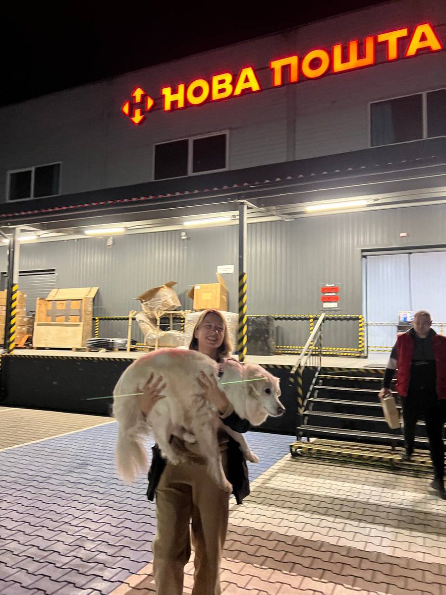 Де ви таку гарну собачку взяли, де взяли?… та на <a href="/NP_official_ua/">Нова пошта</a>