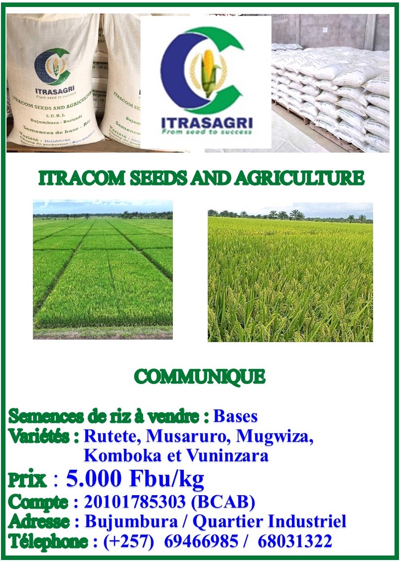 Ni gute ikigo #ITRASAGRI kiriko gihurumbirwa n'amakungu,inyuma yaho kigize ibigo vyokugwiza imbuto zirobanuye mu #Burundi, Ibihugu birenga 5 vyamaze gushingwamwo amashamyi.Umuyobozi Waco ati Africa yose bariko badusaba kujayo
Igihugu cacu kirimwo intwari
<a href="/BurundiGov/">Bureau du Premier Ministre</a> 
<a href="/NtareHouse/">Ntare Rushatsi House</a>