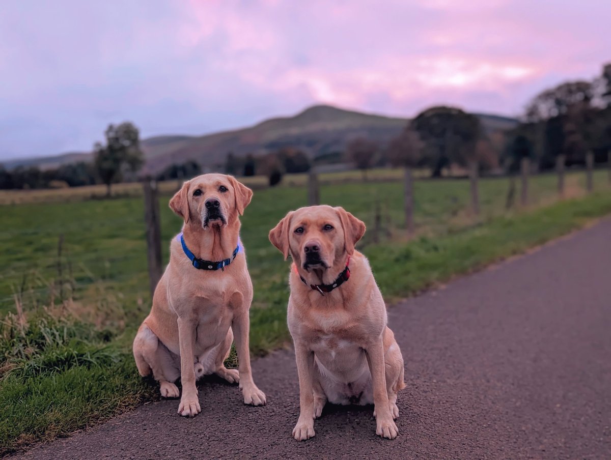 Scottish Bloke 📖 Writing some words tweet media