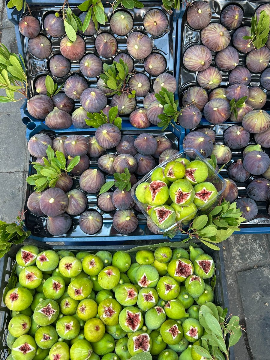 Allahın yarattığı her şey harikuladedir