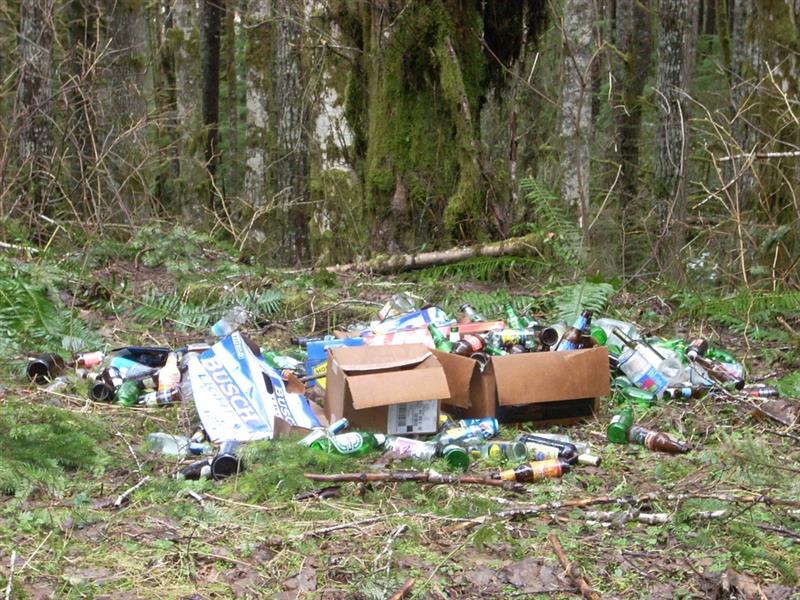 Washington State Dept. of Natural Resources tweet media