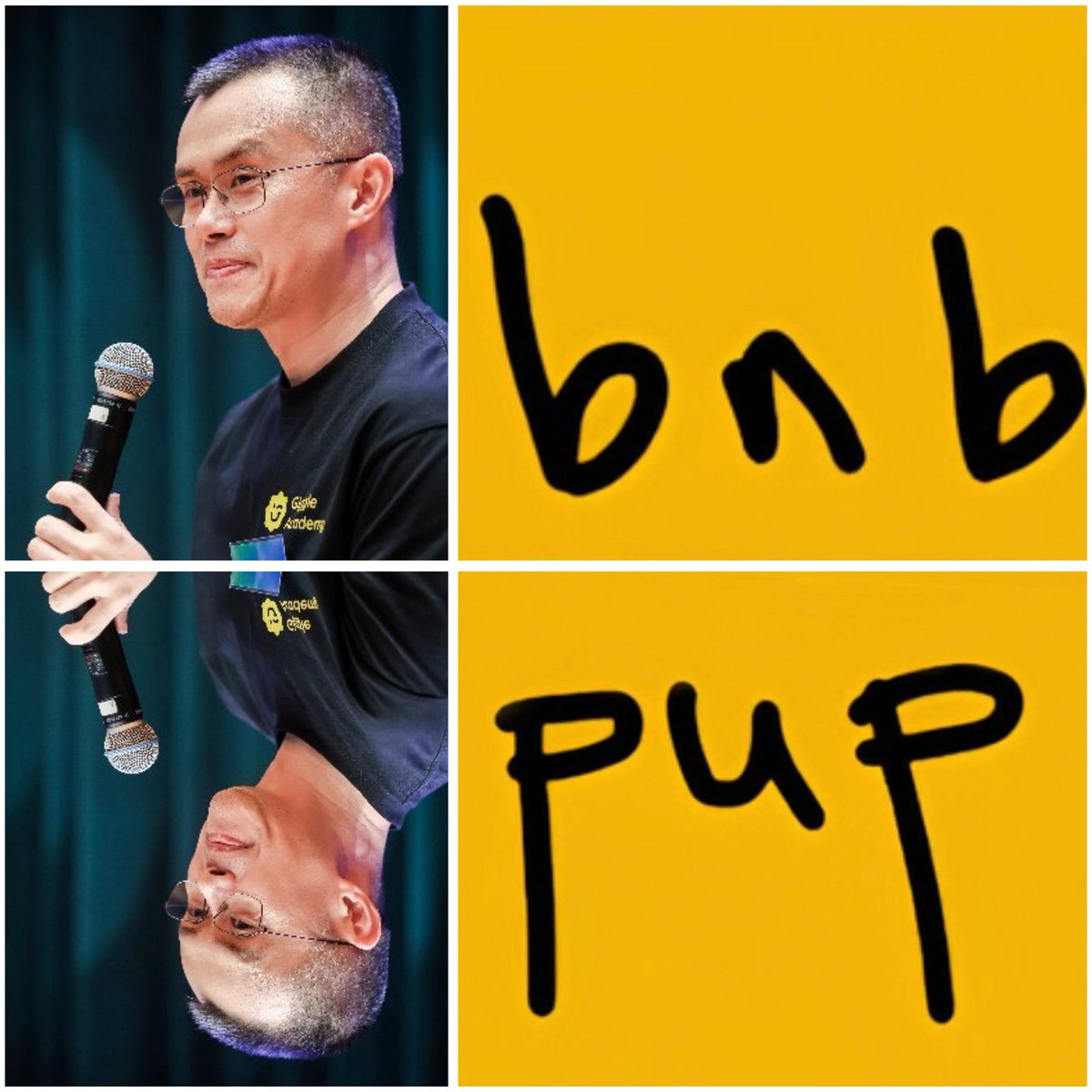 cryptoexflow's tweet image. $PUP