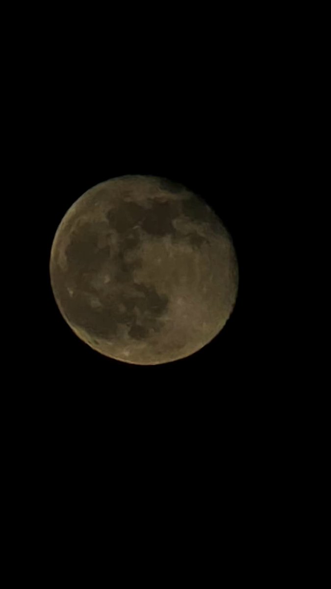 lbvc3's tweet image. وَجَعَلَ الْقَمَرَ فِيهِنَّ نُورًا🌷.