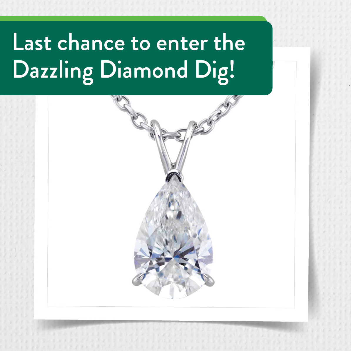 The drawing is Friday, October 10! Get your tickets now to enter this year's Dazzling Diamond Dig for a chance to win two beautiful pieces of jewelry. You do not have to be present to win. Purchase your ticket by filling out the form in the link: sjchs.org/about-us/found…