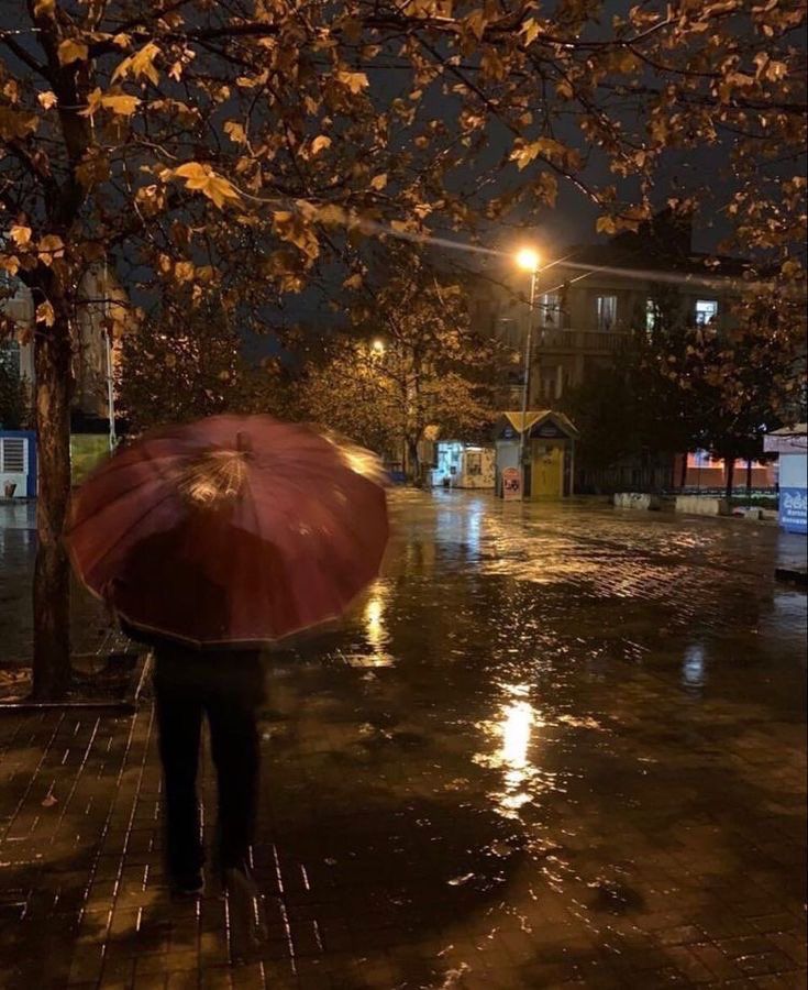 güz kuşu tweet media