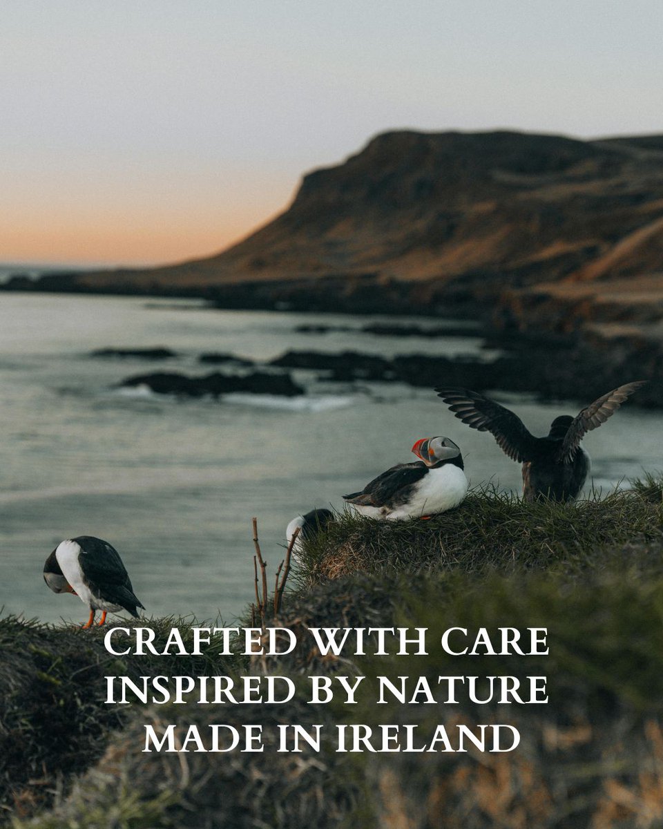 We Make Good tweet media