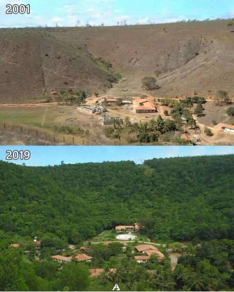 Brezilya’da bir çift, 18 yılda 2 milyon ağaç dikerek; 172 kuş türü, 33 memeli, 15 amfibi, 15 sürüngen ve 293 bitki türünü geri getirmiş. 
👏 👏 👏