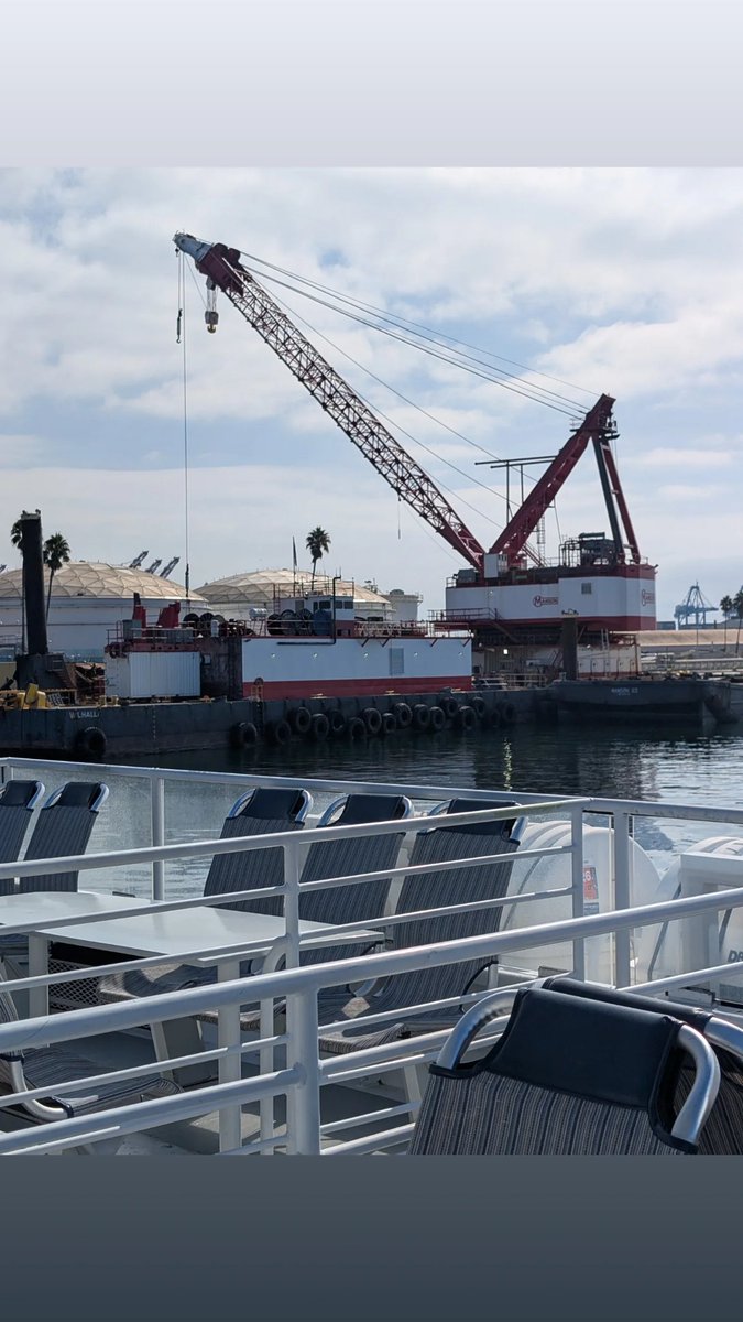 Bonnie Schneider tweet media