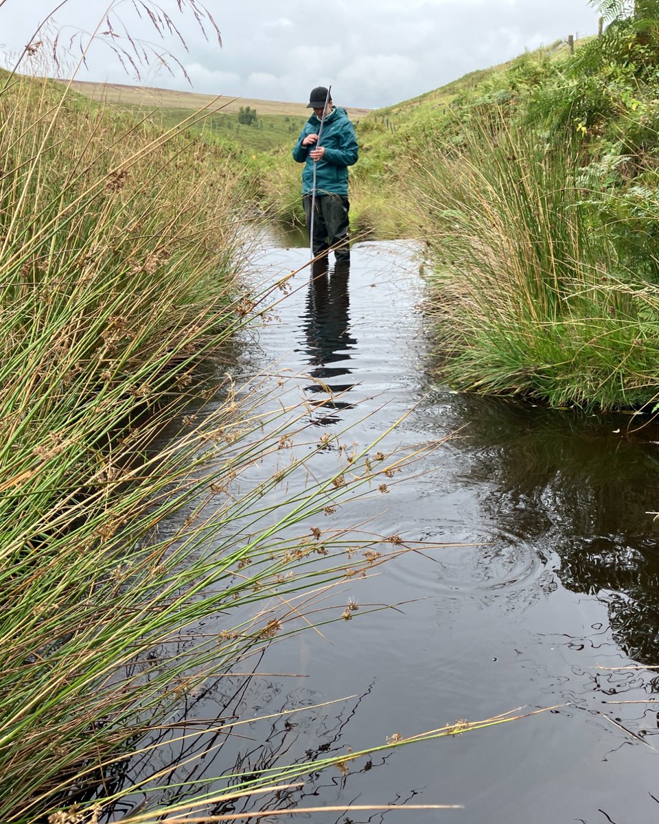 Calder Rivers Trust tweet media