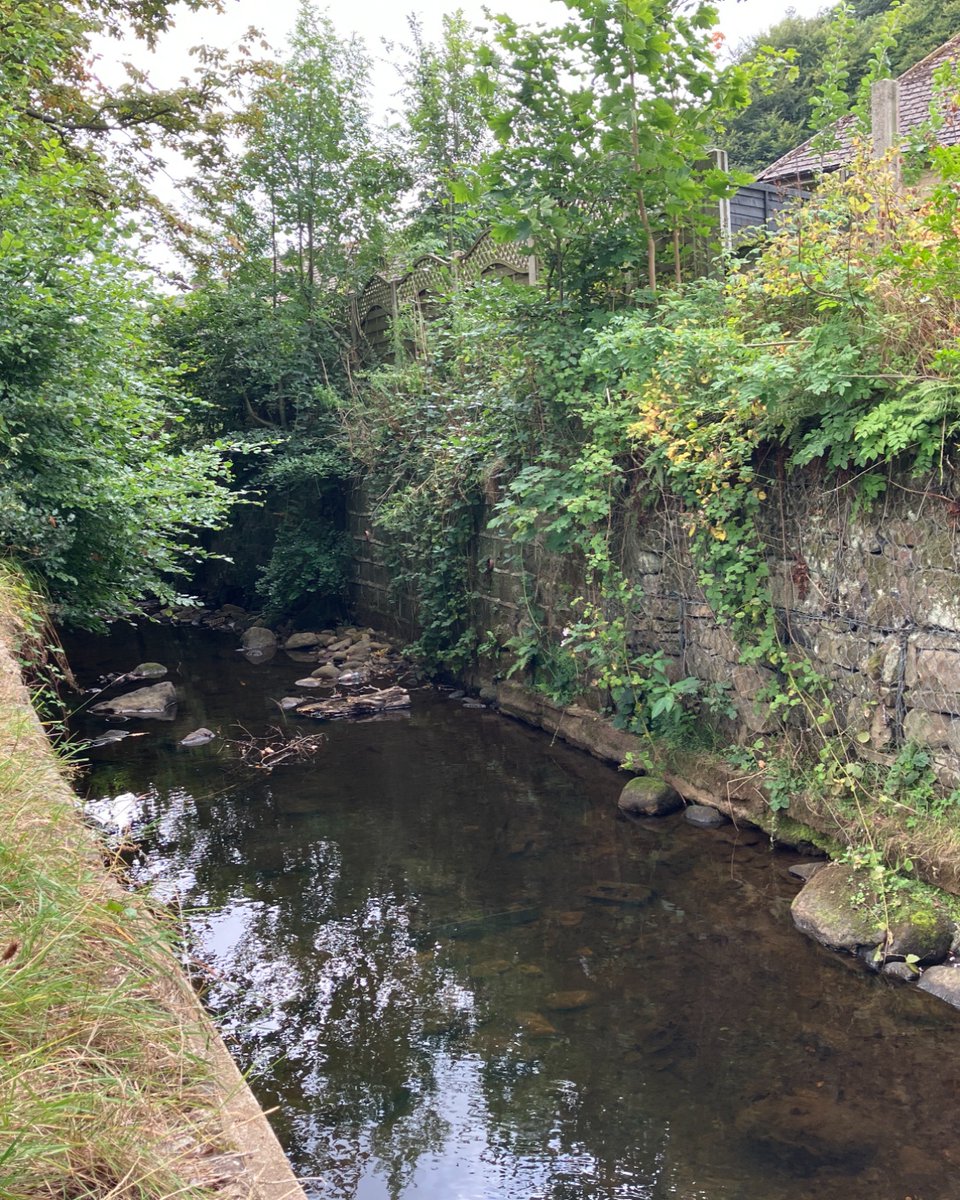 Calder Rivers Trust tweet media