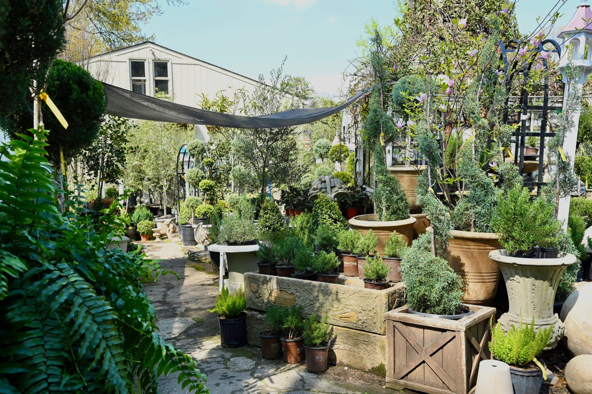SimplyBuckhead's tweet image. OUTSIDE THE BOX

Boxwoods Gardens &amp;amp; Gifts celebrates 30 years!

Dan Belman and Randy Korando opened Boxwoods Gardens &amp;amp; Gifts in Buckhead in 1995 to meet customers in the middle. “The choices back then were to go to very high-end stores or low-end stores. There was nothing in the…