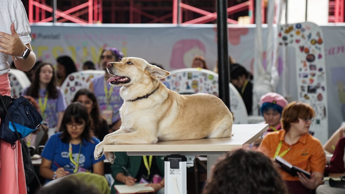 Pixelatl's tweet photo. El segundo día de #Pixelatl2025 nos trajo más charlas, actividades y conexiones únicas. 💖
Así vivimos este día inolvidable.
#EncantaElMundo https://t.co/HjrY3NKpRt