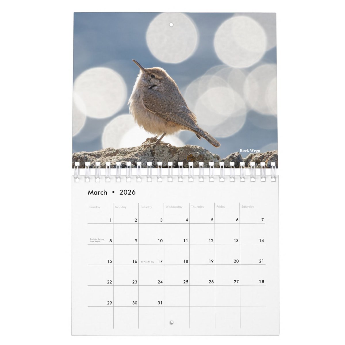laurel_gale's tweet image. Why, yes, I am selling a 2026 Bird Calendar!   

(See the reply for the link.)

#birds #wildlifephotography #giftideas