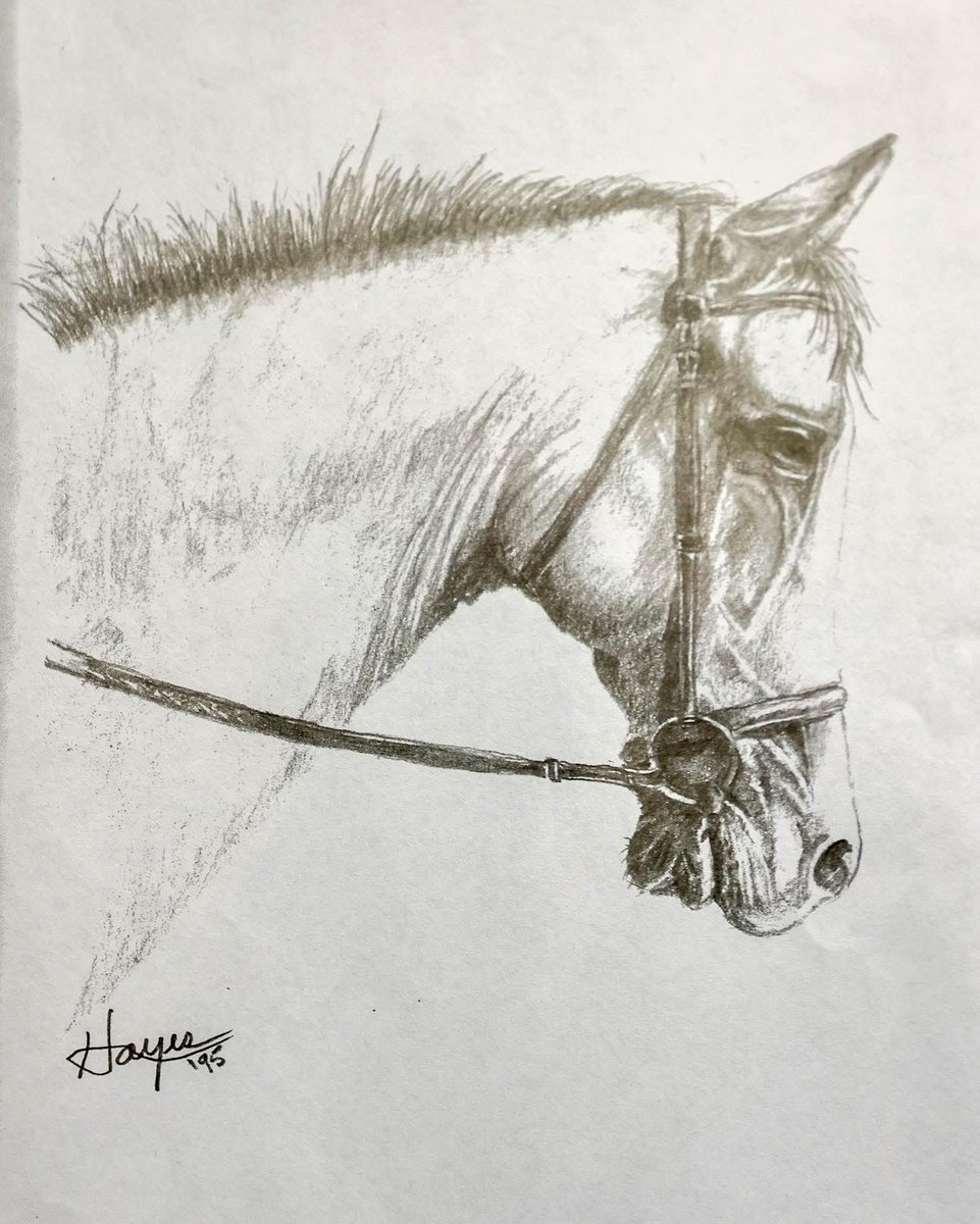 DeveloperTim's tweet image. My Dad drew this sketch in 1995.. The new @grok imagine is really awesome. Check out the nuanced movement of the eyes and ears. @elonmusk so cool!
