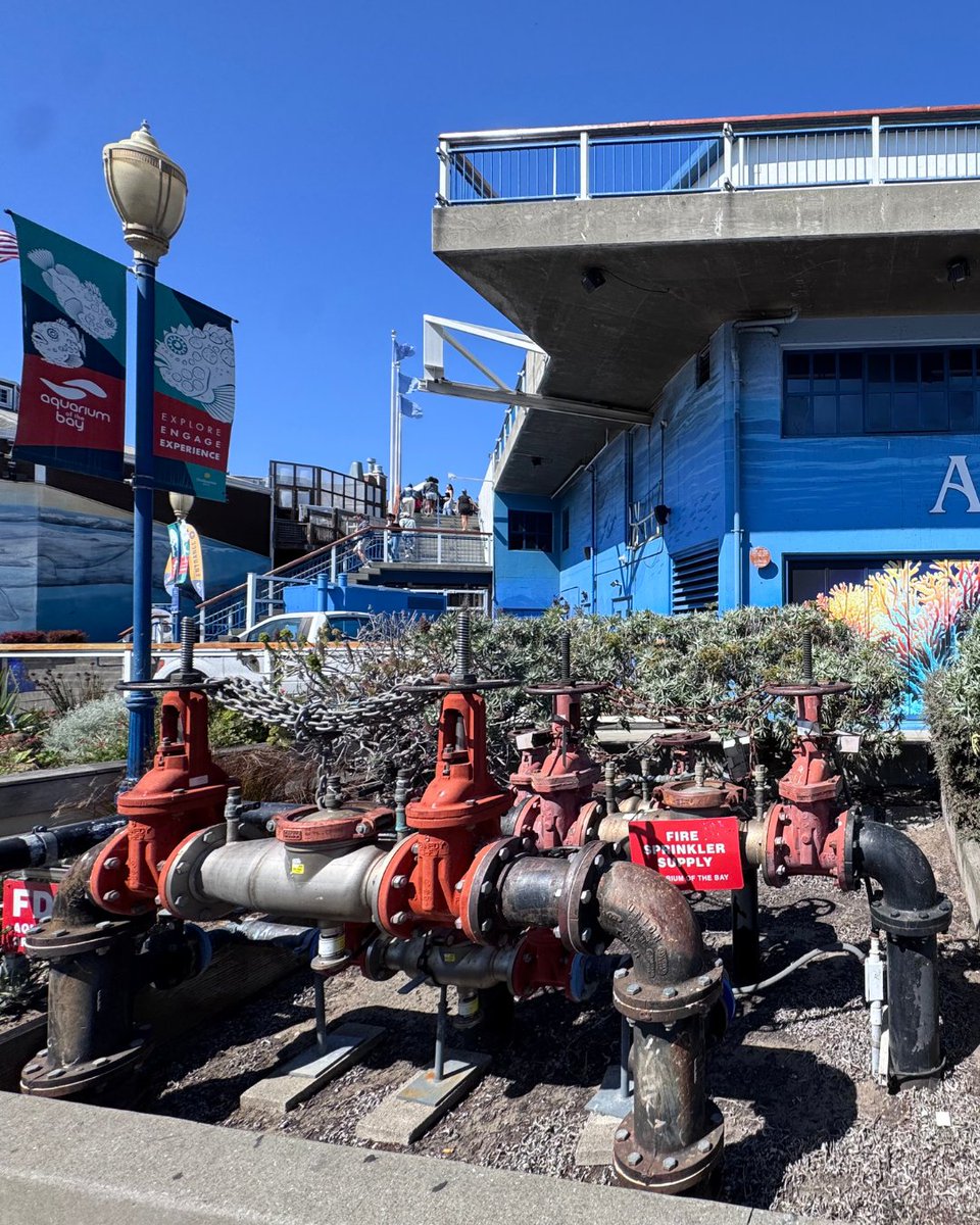 nibcoinc's tweet image. NIBCO is everywhere—even at the Aquarium of the Bay at Pier 39 in San Francisco, CA! From coast to coast, NIBCO products are trusted in the places that matter.
Have you seen NIBCO out in the wild? Snap a pic and tag us!
#nibco #nibcoiseverywhere