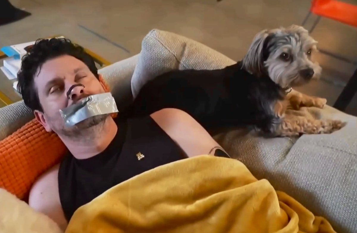 I tried putting a shock collar on my dog Ducky today, it did not go well. My pets are free to do as they wish and aren’t afraid to push back on potential mistreatment. <a href="/hasanthehun/">hasanabi</a> has done a great job making sure Kaya knows their place and that the collar does its job.