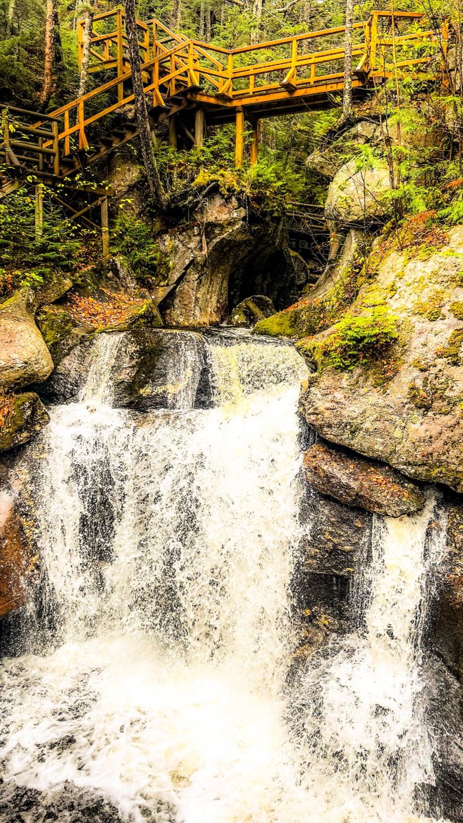 whitemts's tweet image. Wow! This morning's rain has brought our White Mountains waterfalls roaring back to life.

📍Paradise Falls at Lost River Gorge

📸 Lost River Gorge Staff Photo 

#whitemountains #visitnh #discoveryournew #waterfallwednesday #getoutside #wildlyresponsible #lostrivergorge