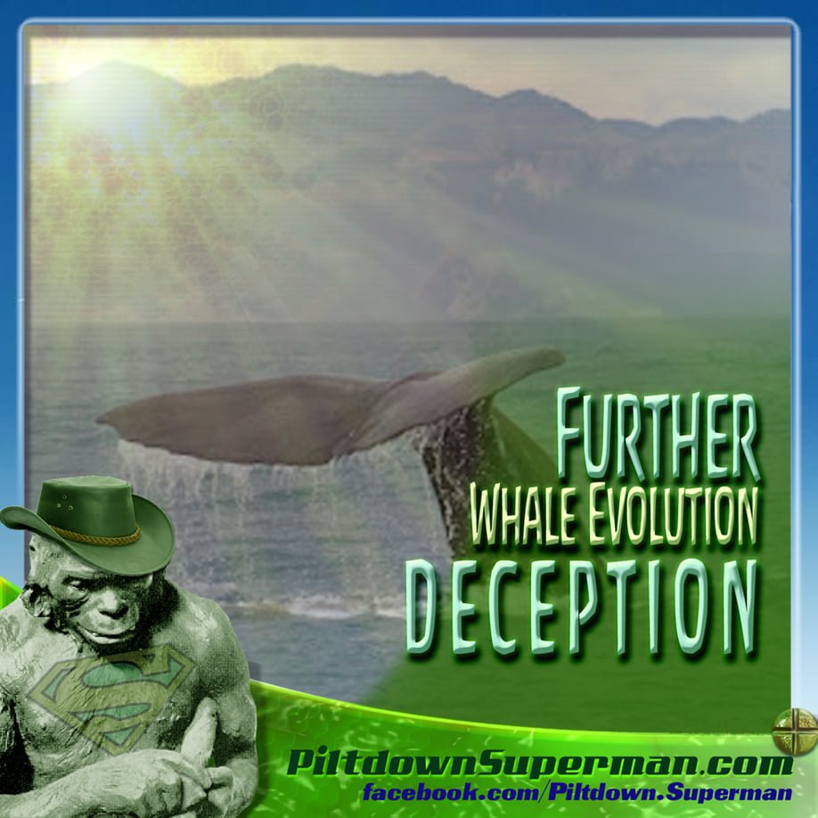KTHehir's tweet image. Proponents of #UniversalCommonDescent evolution have a passel of stories to tell, but they have nasty habits of #CircularReasoning (assuming evolution to prove #evolution), neglecting basic facts and making a passel of assumptions...

Details: piltdownsuperman.com/2021/09/furthe… #darwinism