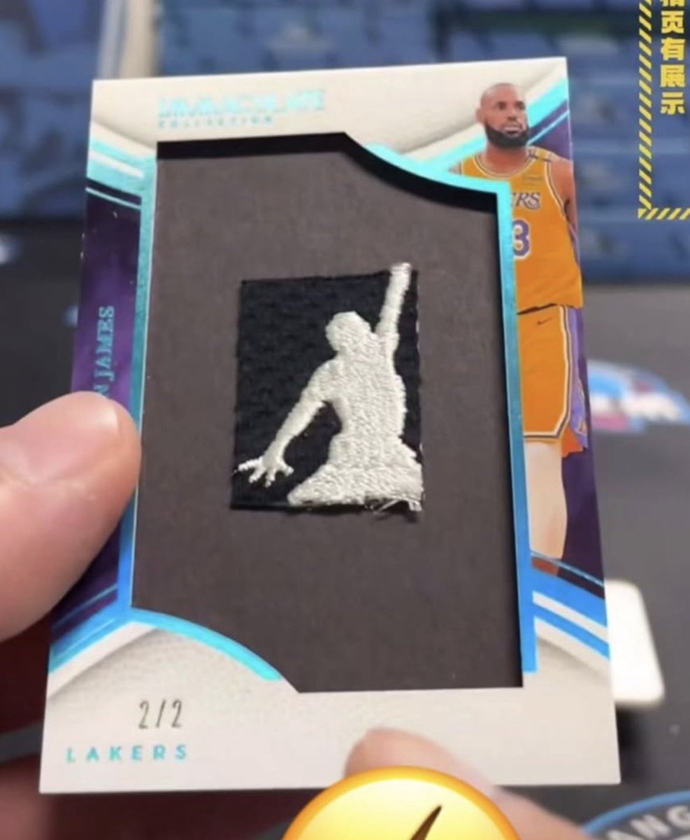 2024 Panini Immaculate Lebron James /2 😂