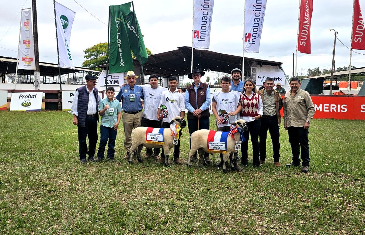 arp_py's tweet image. LA EXPO AMAMBAY 2025 YA CONOCE A SUS PRIMEROS GRANDES CAMPEONES
Entraron en pista las razas Hampshire Down, Dorper, Santa Inés, Saanen, Alpina y Toggemburg y Criolla, todas ellas exhibiendo ejemplares de primer nivel genético.
👉acortar.link/2lpecP