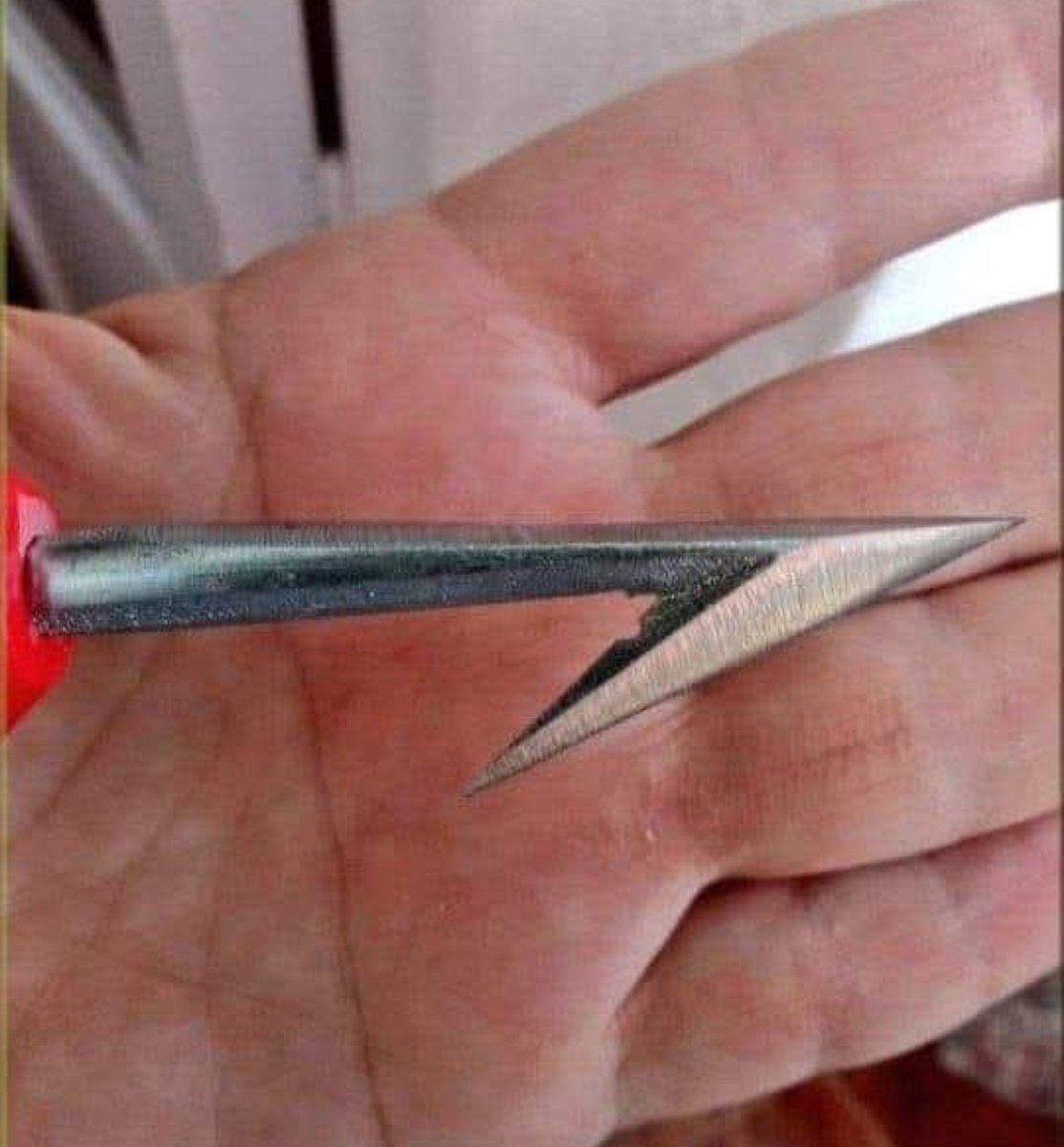 #PedroCalló700MilVoces
Clavar esta banderilla a un ser vivo es arte y cultura o es una salvajada?
<a href="/PSOE/">PSOE</a> <a href="/sanchezcastejon/">Pedro Sánchez</a>