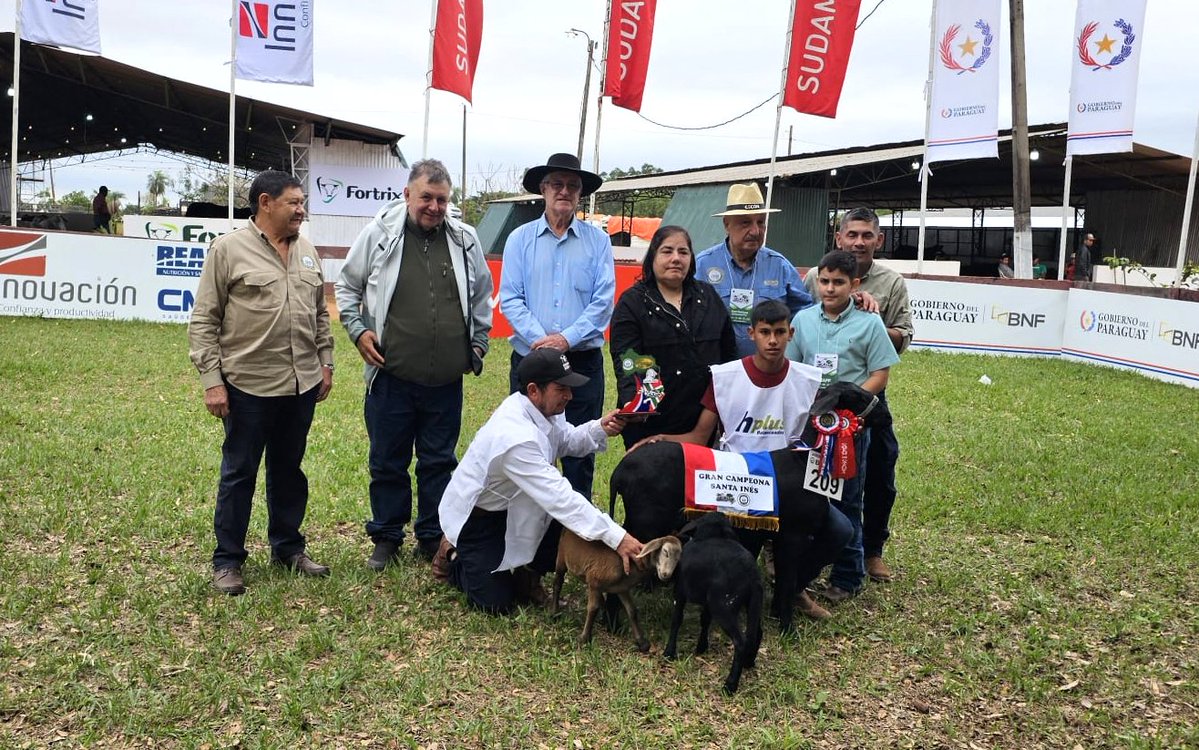 arp_py's tweet image. LA EXPO AMAMBAY 2025 YA CONOCE A SUS PRIMEROS GRANDES CAMPEONES
Entraron en pista las razas Hampshire Down, Dorper, Santa Inés, Saanen, Alpina y Toggemburg y Criolla, todas ellas exhibiendo ejemplares de primer nivel genético.
👉acortar.link/2lpecP
