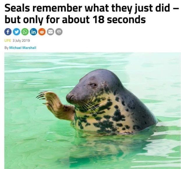 im so mossed up .𖥔 ݁ ˖ tweet media