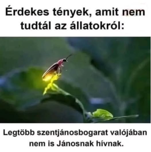 Te tudtad???