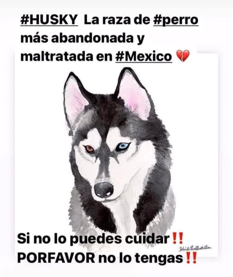 Alfredo Marquez T. tweet media