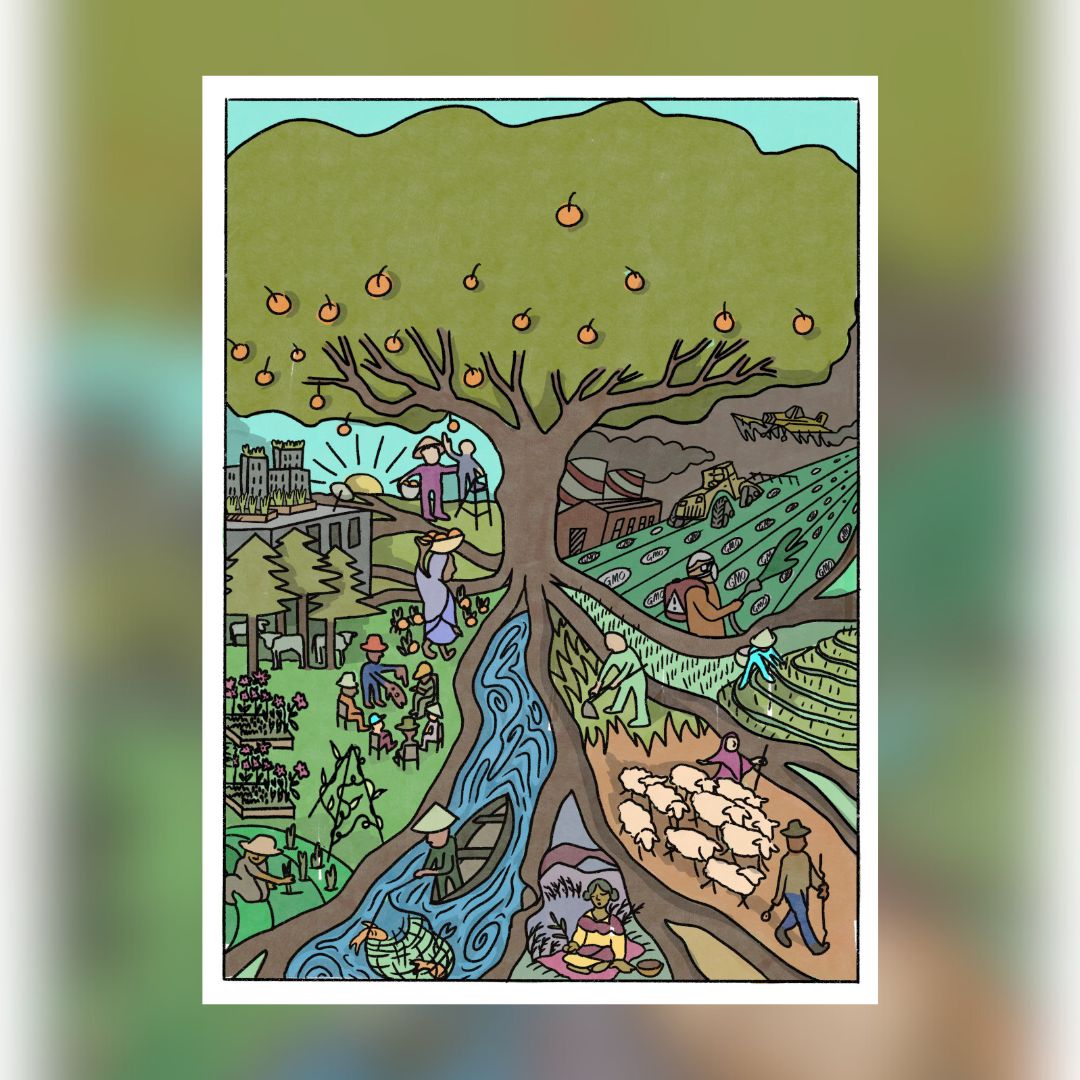 via_campesinaSP's tweet photo. @via_campesina @viacampesinaFR @CLOC_LVC @ECVC1 @MST_Oficial @asambleapueblos @albamovimientos @CSA_TUCA @AmigosTierraEsp @WorldMarchWomen @GRAIN_org @JusticiaAliment @InfoNodal @pressenza 🌱🌎 🌽🫘- Estén atentos a nuestra serie especial de tarjetas del #16Oct25 que llama a un #NuevoMarcoComercial basado en la #SoberaníaAlimentaria. https://t.co/jTve3KdWyA @CLOC_LVC @ECVC1 @via_campesina @IPCSovereignty @CSM4CFS @GRAIN_org @FIANista @FoEint_es @NyeleniForum https://t.co/stfaLb9zFf