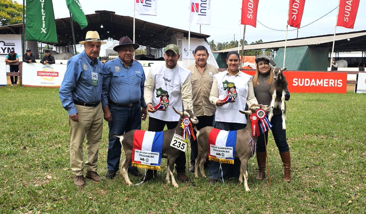 arp_py's tweet image. LA EXPO AMAMBAY 2025 YA CONOCE A SUS PRIMEROS GRANDES CAMPEONES
Entraron en pista las razas Hampshire Down, Dorper, Santa Inés, Saanen, Alpina y Toggemburg y Criolla, todas ellas exhibiendo ejemplares de primer nivel genético.
👉acortar.link/2lpecP