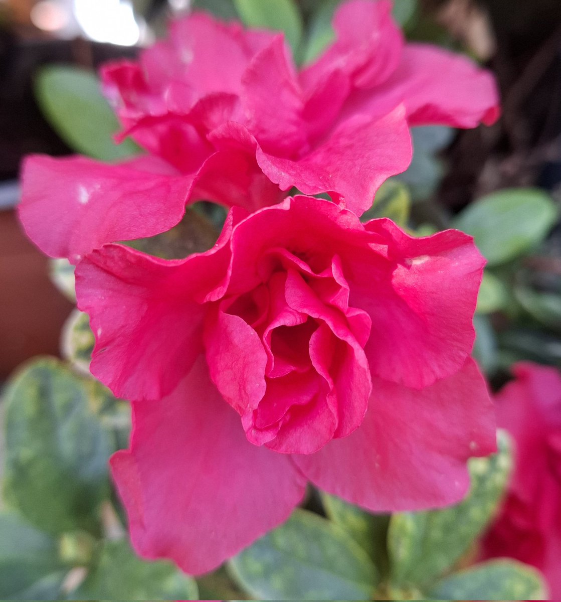 Fins demà, continuo sense whassap, rebeu una abraçada enorme😘😘