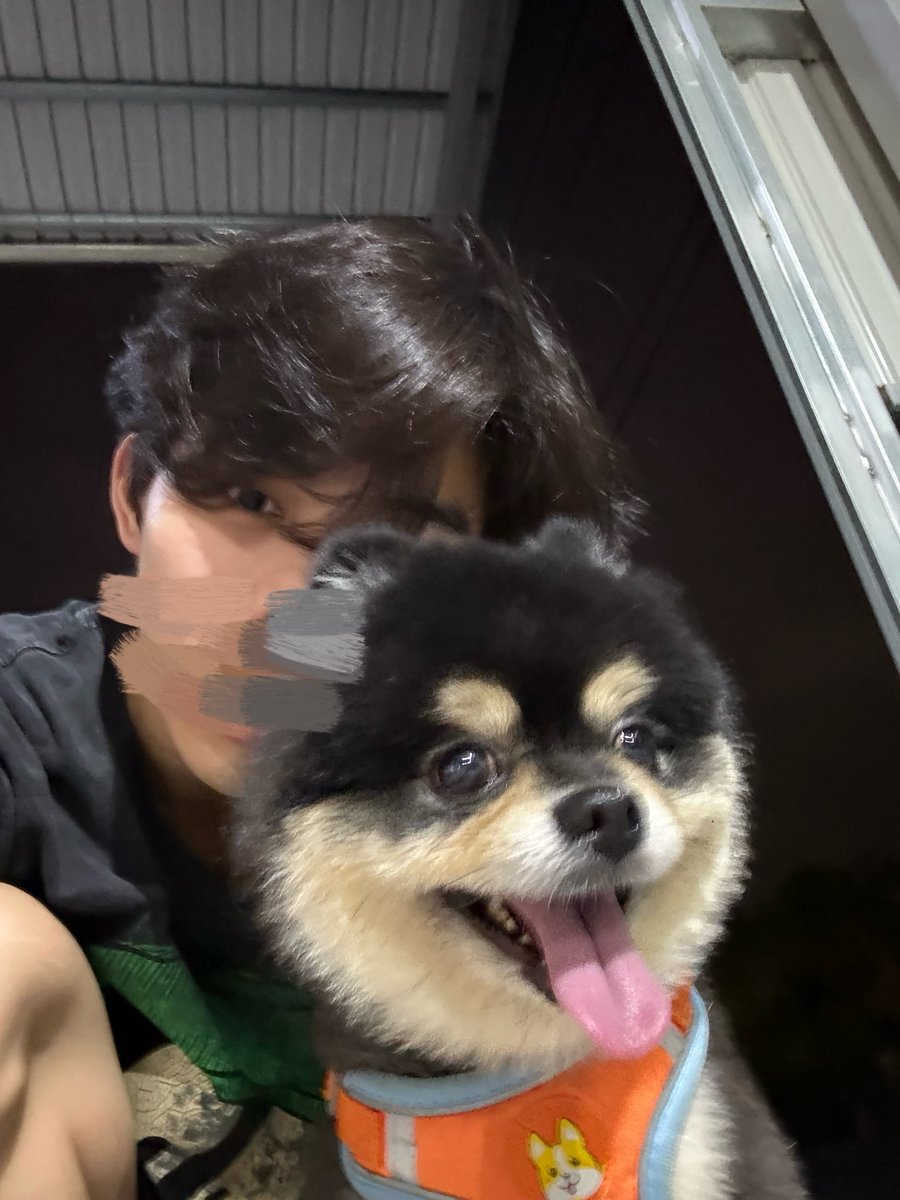 抹茶龍蛇嵐 tweet media