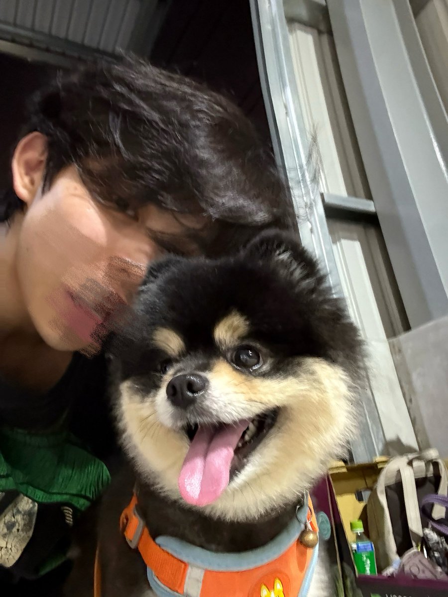 抹茶龍蛇嵐 tweet media