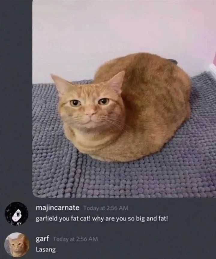 Punch Cat (@punchingcat) on Twitter photo 