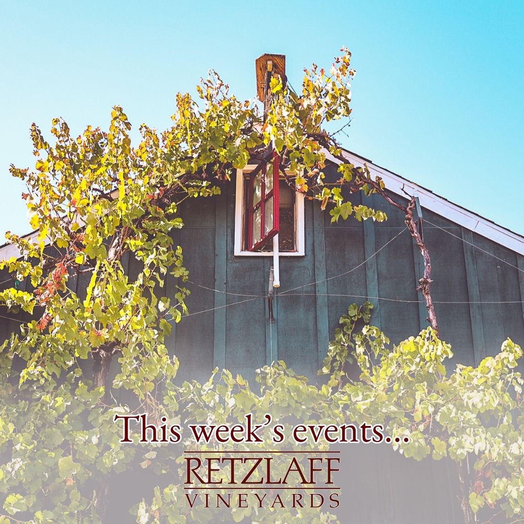 RetzlaffWine's tweet photo. Open Friday through Monday every week for organic wine tastings and gorgeous vineyard views. 🌿

Friday: Happy Hour Pricing All Day 12-6pm!
Saturday: Live music by Loren Olk and wood-fired pizza from Fratelli’s Pizza.
Sunday: Smooth jazz with the Matt Finders Jazz Trio. https://t.co/U5MGHJ3uXj