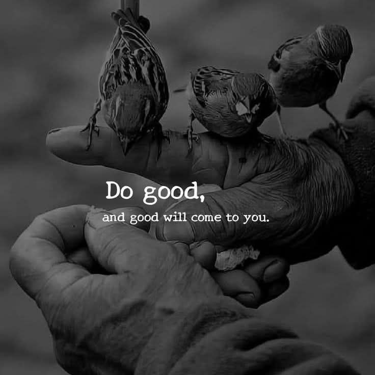 Vaibhaw Purohit | Motivation tweet media