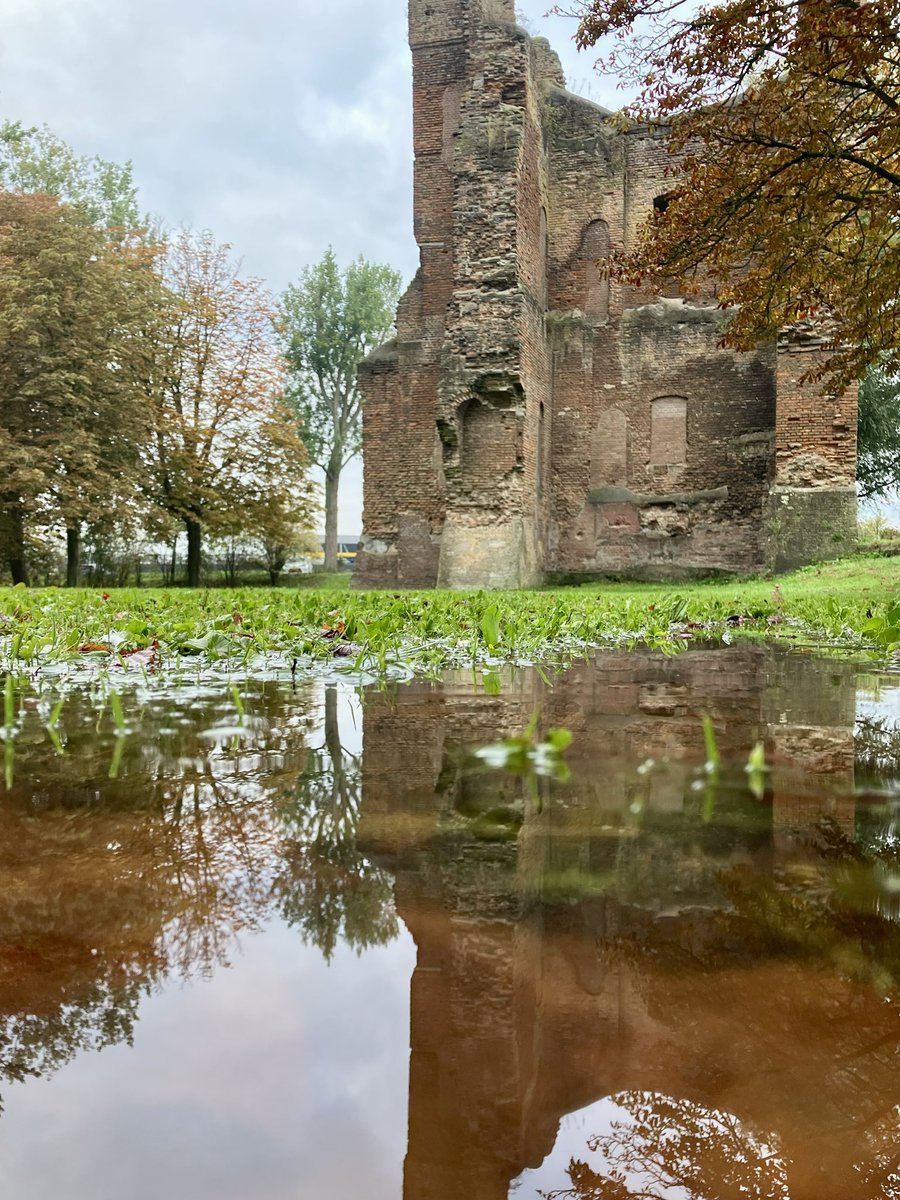 🌊🪞🏰Het #HoogWater is verdwenen uit de rivieren, maar rond de #ruïne ligt nog een restantje. Het leverde vanochtend mooie #bespiegelingen op.

#HuisTeMerwede #Merwede #Holland #Kasteel #KasteelBijDordrecht #Dordrecht