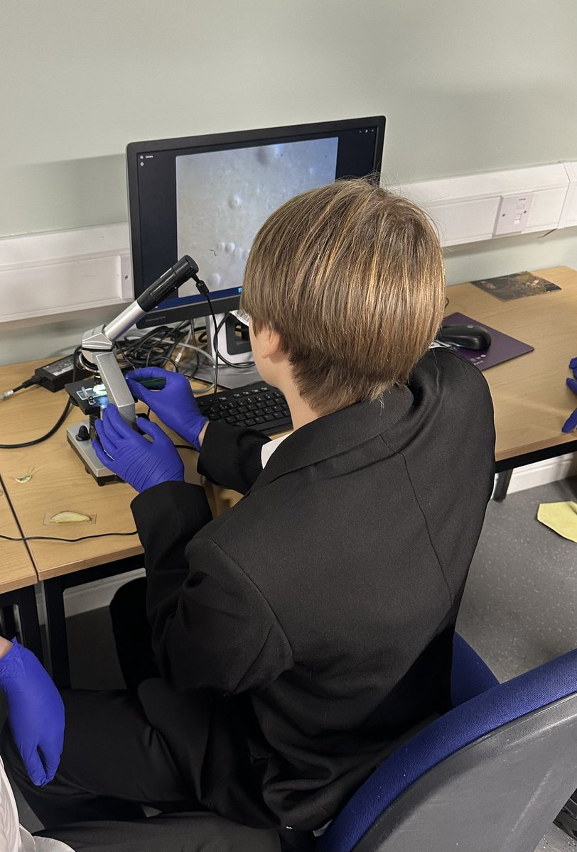 DYW@CarlukeHighSchool tweet media