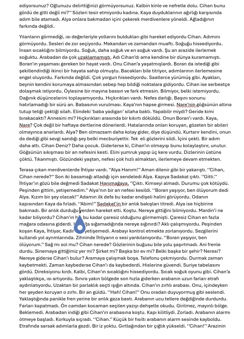 Söz Sever tweet media