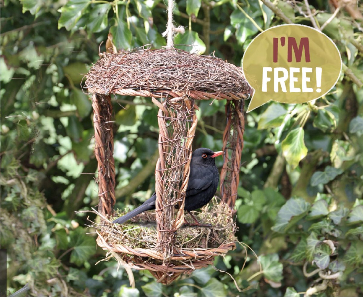 Massive warehouse clearance!
The team at The Wildlife Community has been busy in the warehouse and we’ve uncovered some bargains!
✨ Bonus: Every eligible purchase comes with a FREE Open Nest Buddy — perfect for giving your garden wildlife a helping hand! thewildlifecommunity.co.uk